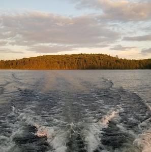 Meet your Posher, Phil